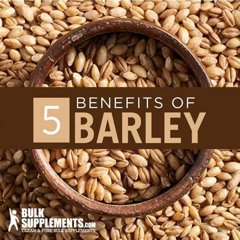 Barley Sprouts Health Benefits at Iva Blackburn blog