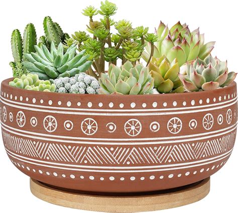 Amazon.com : Thirtypot 8 Inch Terracotta Succulent Planter Pot with ...