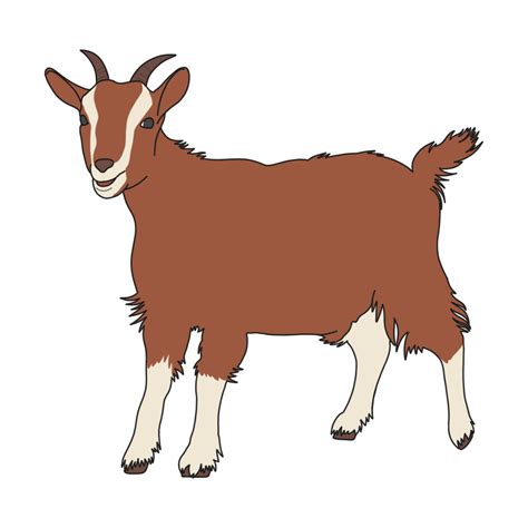 Goat - Beginner Level - Reading Passages