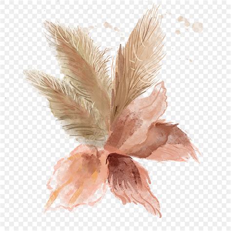 Pampa Grass White Transparent, Watercolor Wedding Plant Multicolor ...