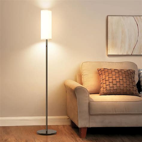 ELEUTERSUN Cordless Floor Lamp for Living Room, with 3 Color ...