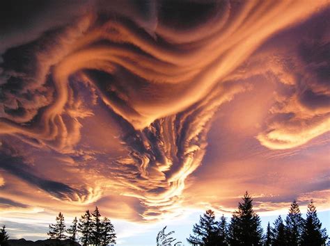 Undulatus asperatus clouds over the new zealand sky. : r ...