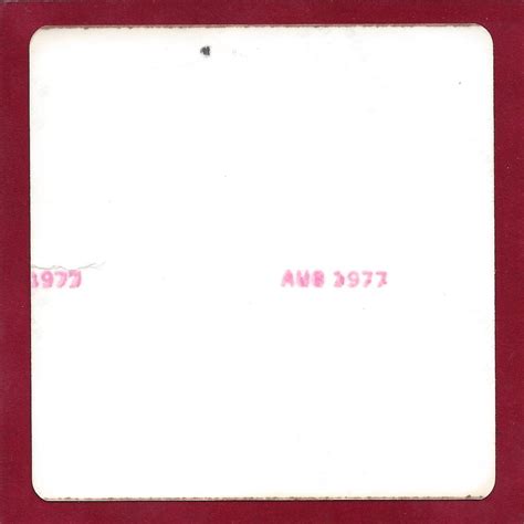 1970s Vintage Nude Photo~Busty Boobs Perky Breasts Housewife Pinup w ...