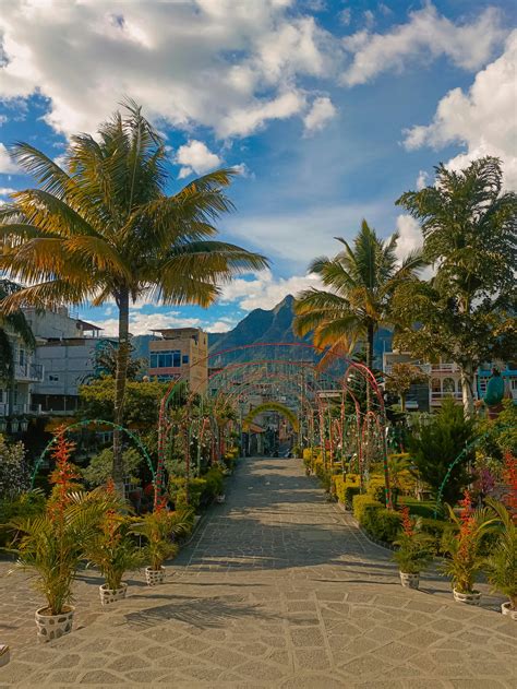 Small+Puffy+Breasts Photos, Download The BEST Free Small+Puffy+Breasts ...