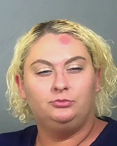 Mugshots - 28-year-old SHANNON HEETER from Manatee County, Florida was ...