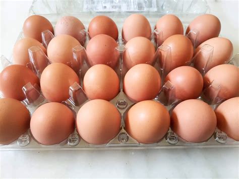 Organic Eggs From Costco at Carroll Zabala blog