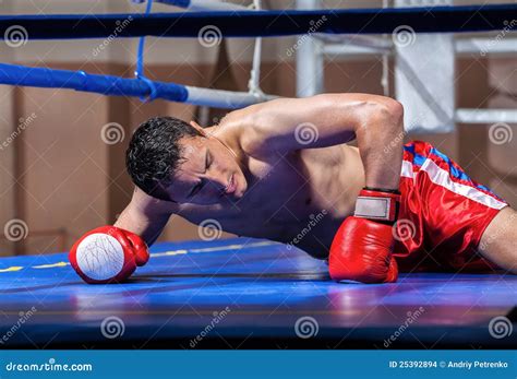 Boxer Lying Knocked Out in a Boxing Ring Stock Photo - Image of gloves ...