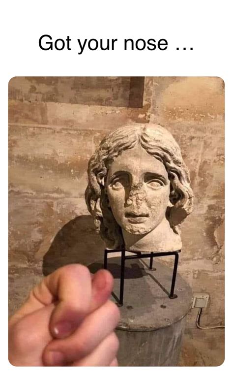 Double tap to edit Got your nose … | @robinhoodprinceofmemes | Memes