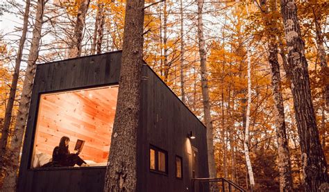 These Cute Cabins With Floor-To-Ceiling Windows Are Coming To Starved ...