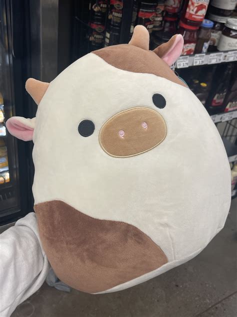 venomous_dolly on Twitter: "@kjedoran https://t.co/w1cKu9Hkql" / Twitter