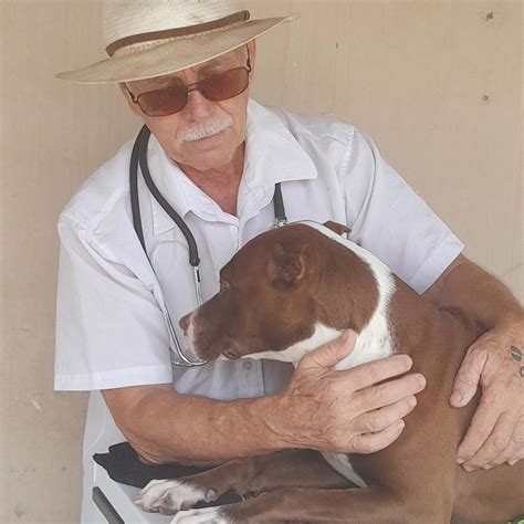 Do Dogs Get Headaches? How to Tell and Help Your Pup - Parade Pets