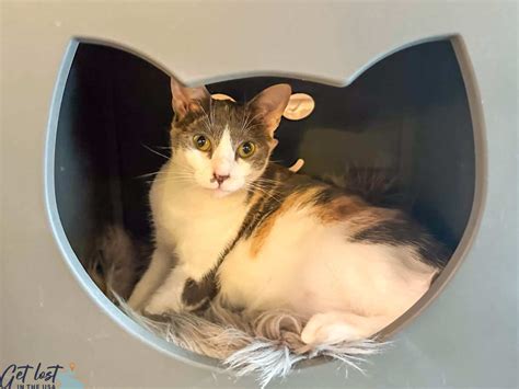 Things to Do in Downtown Concord NC - Get Lost In The USA