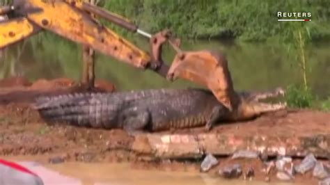 Largest Crocodile Ever Recorded