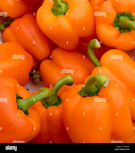 Orange Bell Pepper background Stock Photo - Alamy