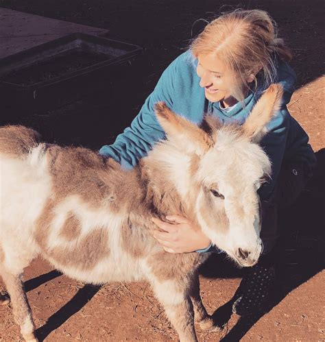 Raventree Ranch | Best Christmas present ever.😆🎄Welcome Molly the 4 month old mini donkey to ...