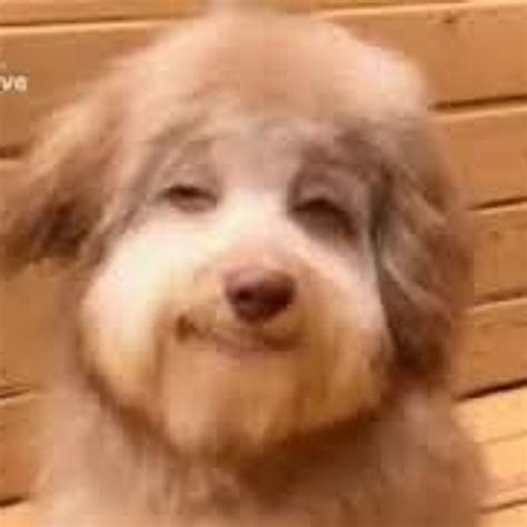 Stream come over here and kiss me on my hot mouth i'm feeling ...