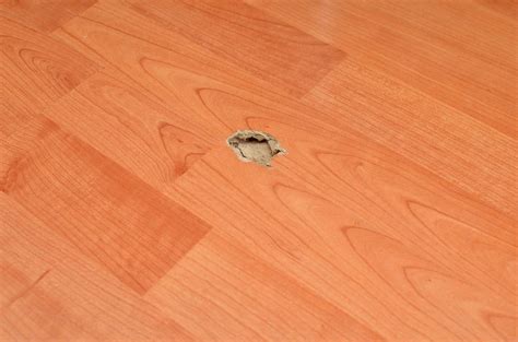 Laminate Floor Damage – Flooring Tips