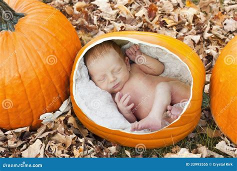 Pumpkin patch kid stock image. Image of baby, pumpkin - 33993555