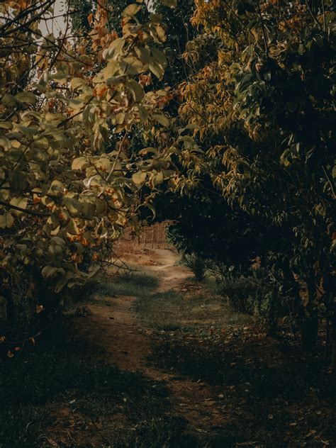 Huge+Brown+Nipples Photos, Download The BEST Free Huge+Brown+Nipples ...