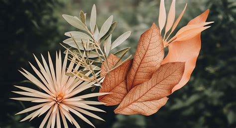 Environmental Applications → Term
