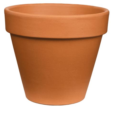 8 Inch Terracotta Pots