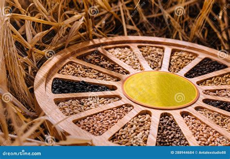 Different Types of Cereal Grains with Ears Stock Photo - Image of plant ...