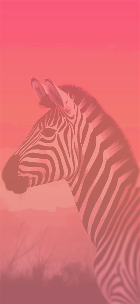 Pink Zebra Wallpaper For Android