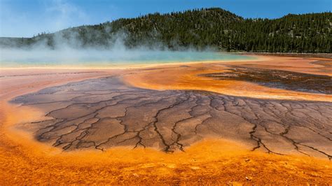 New Methane-Burping Microbes Discovered In Yellowstone Springs - Animals Around The Globe