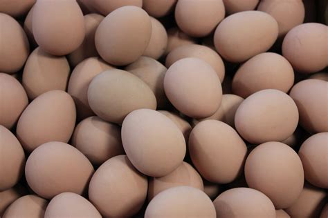 Do Fake Eggs Have Carbs at Jenny Abate blog