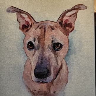 Obituaries - Oakey's Pet Funeral Home