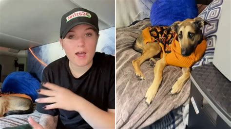 I live full-time in a lorry with my dog to save cash - it’s small but it’s got what I need & the ...