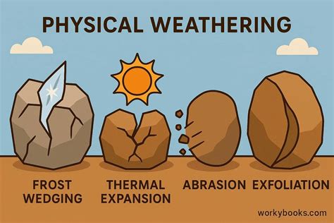 Physical Weathering Explained for Kids | Definition, Facts, Examples & Quiz