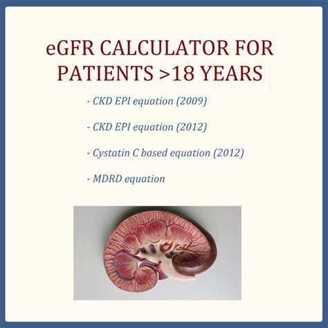 Glomerular Filtration Rate (GFR) - All Things Kidney ~ Official