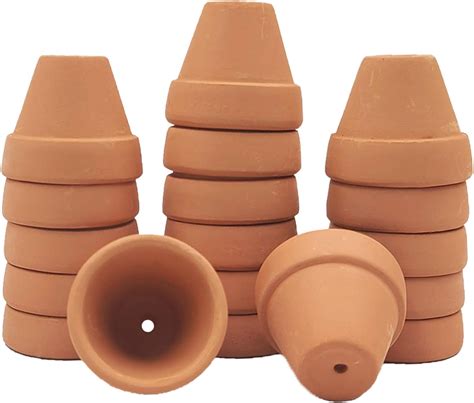 Amazon.com: vensovo 48 Pcs 2" Tiny Terracotta & Terra Cotta Pots with ...