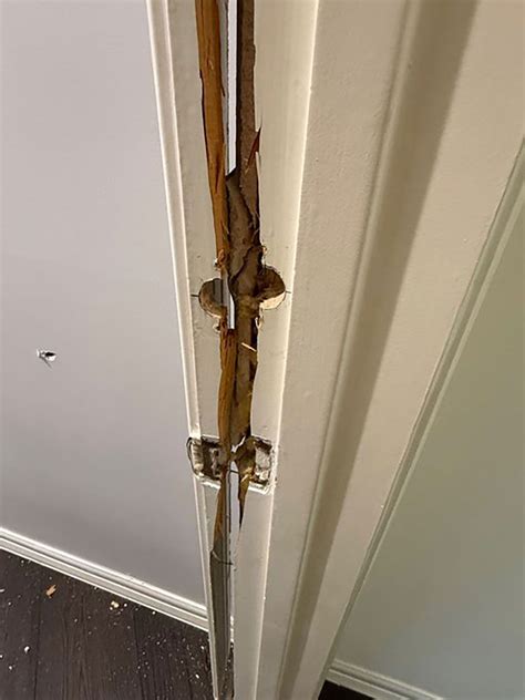 OnlyFans Model Amouranth Details Shooting at Intruders After Being Pistol Whipped