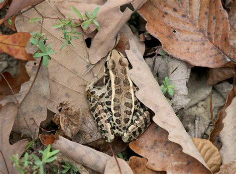 Try Cane Creek Canyon Nature Preserve for a Change | Outdoor Alabama