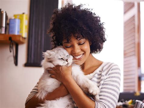 Cats are just as loyal to their owners as dogs, study finds | The Independent | The Independent