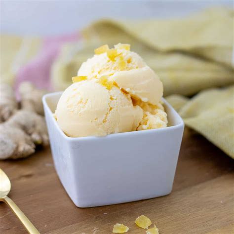 Mint Chocolate Chip Ice Cream | Nothing but Ice Cream