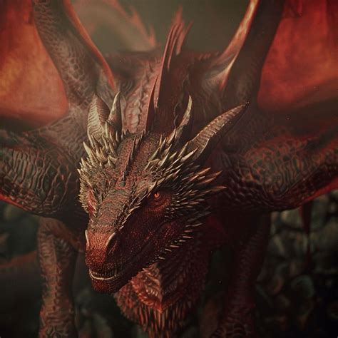 Red Dragon Young Aduly