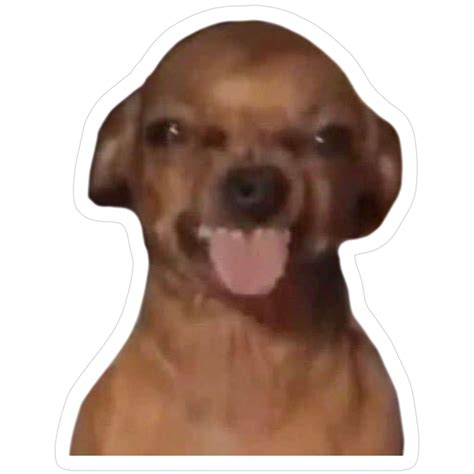 Dog With Tongue Sticking Out Meme. Sticker | Imessage sticker, Funny ...