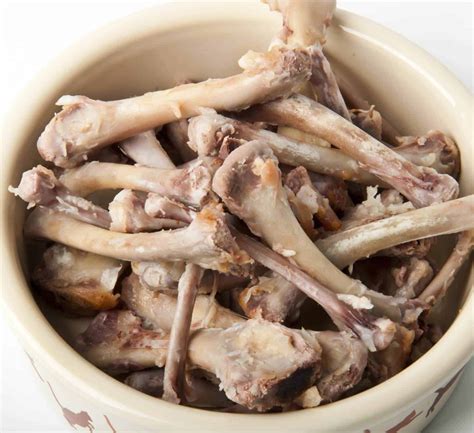Dog Ate Chicken Bones I Love Veterinary | atelier-yuwa.ciao.jp