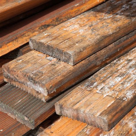 How to Remove Mold on Wood | Reynolds Restoration Services