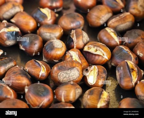 Hot oven roasted chestnuts pile Stock Photo - Alamy