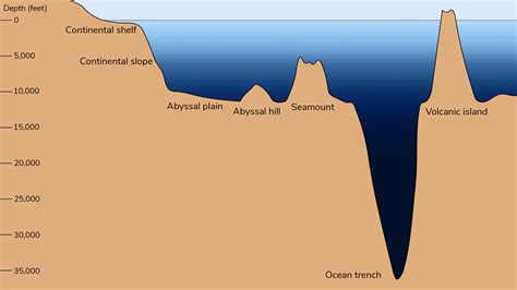 Deep Ocean Trenches Map