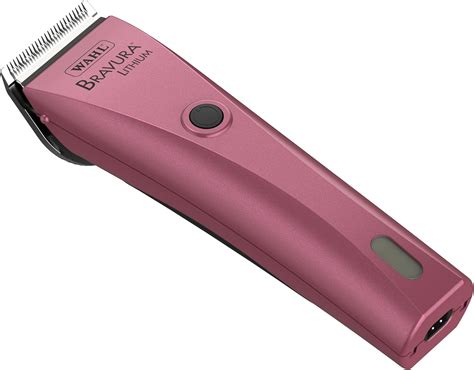 8 High-Quality Best Cordless Dog Clippers [2022]
