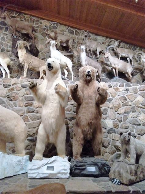 Living Rootless: Tucson, AZ: International Wildlife Museum