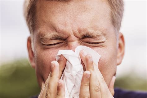 What is Hay Fever and How Can I Treat It? | Live Well Nationwide
