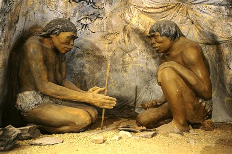 Extinct human ancestor Homo erectus evolved in Africa—not Asia—new fossil study suggests ...