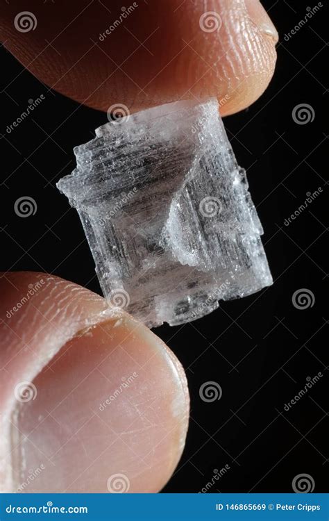 Crystals Of Sodium Borate Under The Microscope Stock Image ...