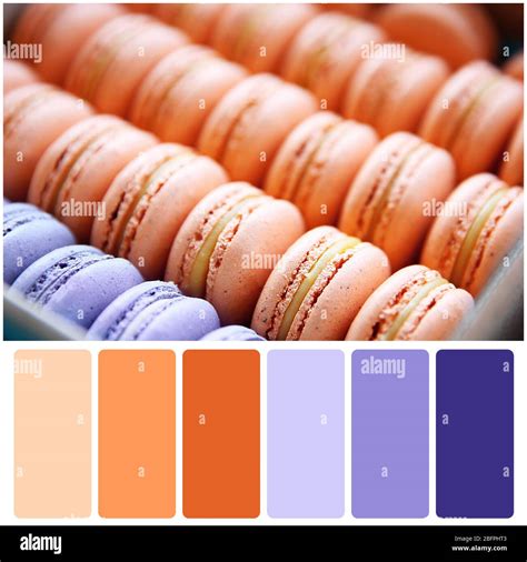 Apricot pastel beauty Cut Out Stock Images & Pictures - Alamy